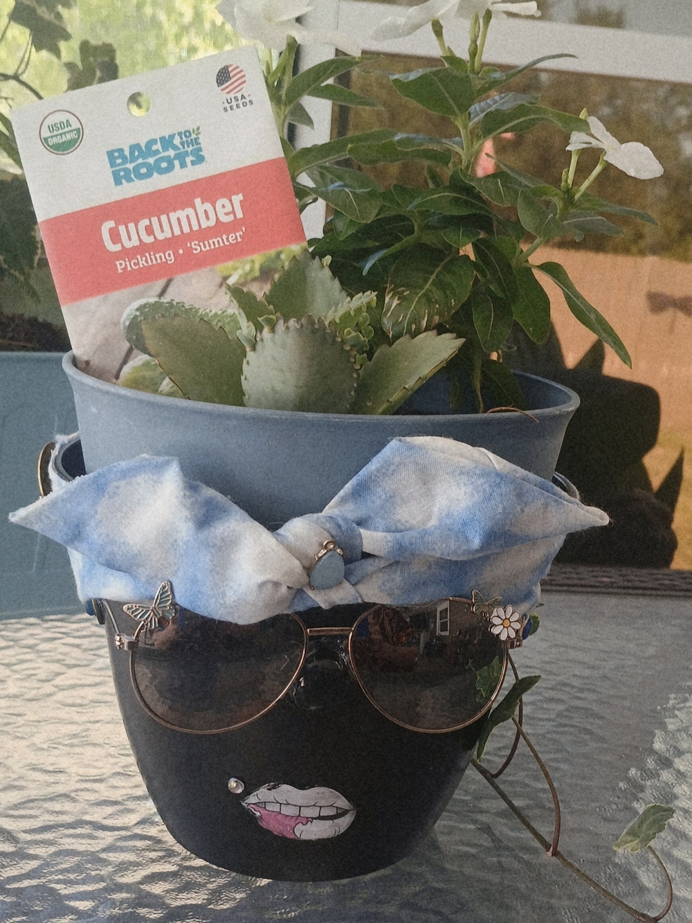 Miss Potty Head Planter Black  Planter with Blue Tie Headband & Sunglasses